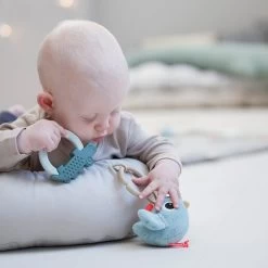 Done By Deer Cozy Lounger & Activity Arch 13 Done By Deer Cozy Lounger & Activity Arch -Baby Products Store Cozy lounger with activity arch Raffi Powder 8 LS 700x 01322092 7b16 4cda 8297 69b2d039d607