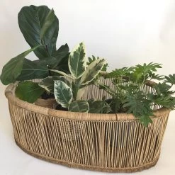 Moses Basket Ethereal Collection -Baby Products Store Ethereal Zen moses basket 0 1024x1024 2x 6f1c45b4 6752 4cb4 ad07 005b5d54f376