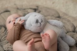 Heartbeat Comforter -Baby Products Store FlowAmsterdammilokonijn