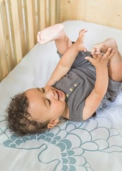 Fitted Sheet Witlof For Kids 120 X 60 -Baby Products Store Ledikanthoeslaken Fly High Dusty Blue 2