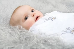 Aden + Anais Aden & Anais Swaddle 2 Pack -Baby Products Store Screen Shot 2018 09 21 at 16.53.06