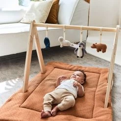 Jollein Babygym Toys -Baby Products Store jollein jollein baby gym toys polar